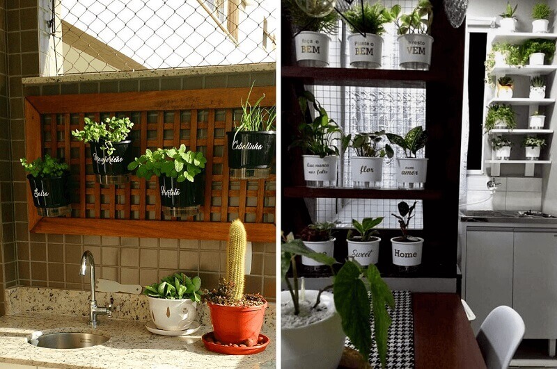 Plantas en la cocina: qué especies elegir y cómo decorar