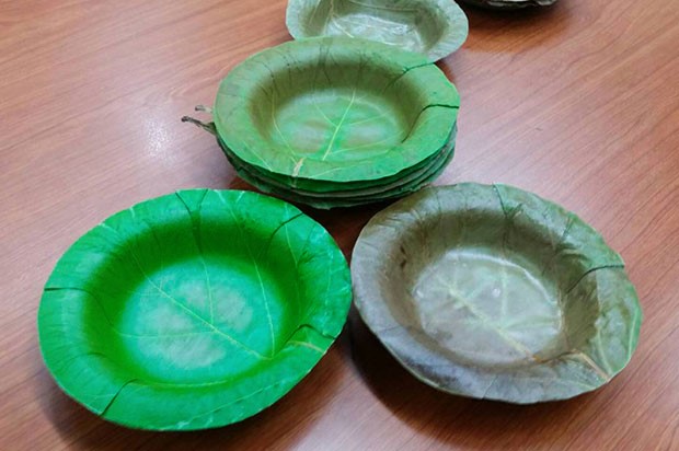 Una universidad desarrolla platos desechables hechos con hojas