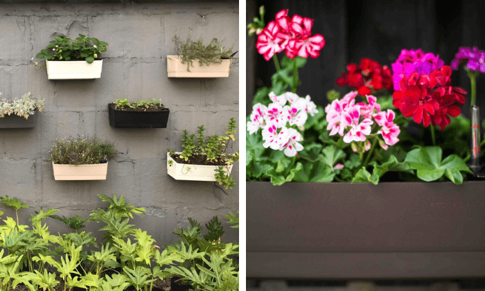 Jardín de invierno: cómo elegir plantas y decorarlo