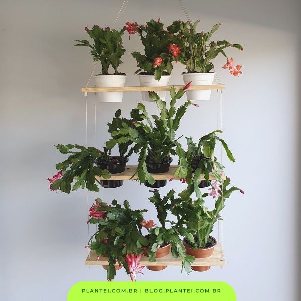 Decoración de balcones con plantas: 7 ideas sorprendentes